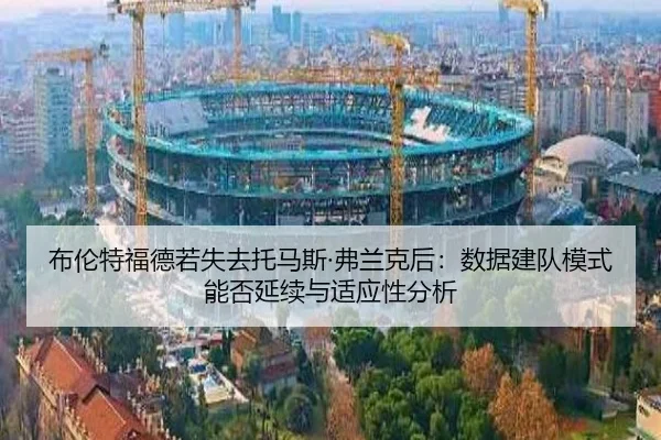 bu-lun-te-fu-de-ruo-shi-qu-tuo-ma-si-fu-lan-ke-hou-shu-ju-jian-dui-mo-shi-neng-fou-yan-xu-yu-shi-ying-xing-fen-xi-2-371.jpg